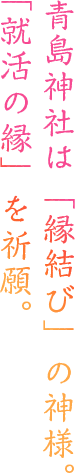 青島神社は「縁結び」の神様。「就活の縁」を祈願。