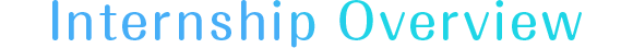 Internship Overview