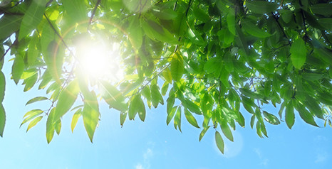 太陽のエネルギー